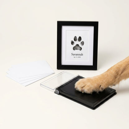 PawMuse Impression Kit image 1
